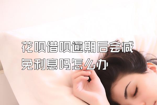 花呗借呗逾期后会减免利息吗怎么办