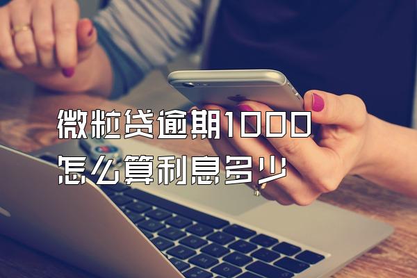 微粒贷逾期1000怎么算利息多少