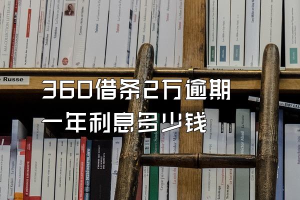 360借条2万逾期一年利息多少钱