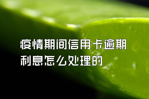 疫情期间信用卡逾期利息怎么处理的