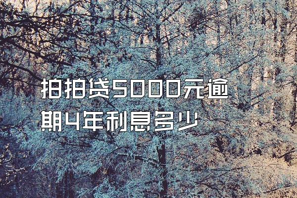 拍拍贷5000元逾期4年利息多少