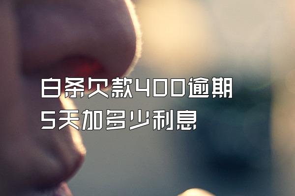 白条欠款400逾期5天加多少利息