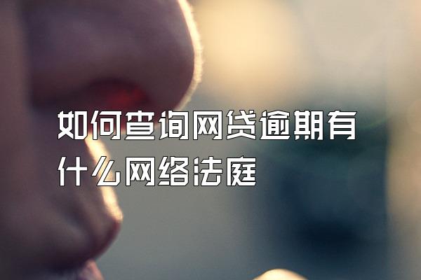 如何查询网贷逾期有什么网络法庭