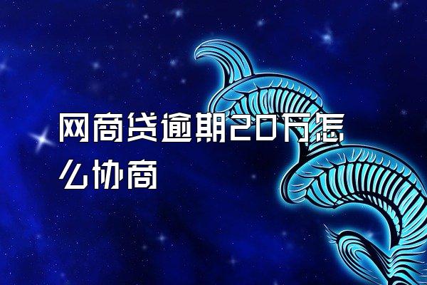 网商贷逾期20万怎么协商