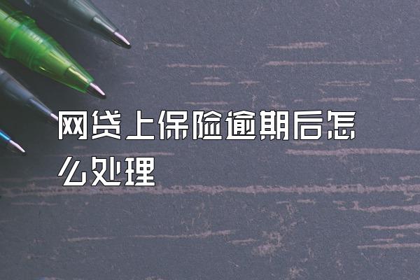 网贷上保险逾期后怎么处理