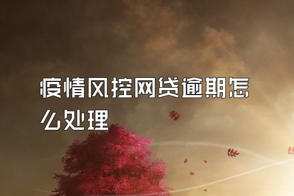 疫情风控网贷逾期怎么处理