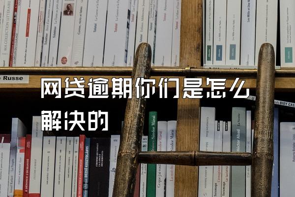 网贷逾期你们是怎么解决的