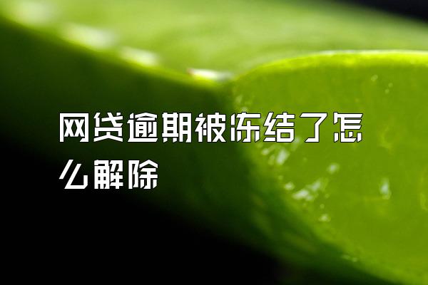 网贷逾期被冻结了怎么解除