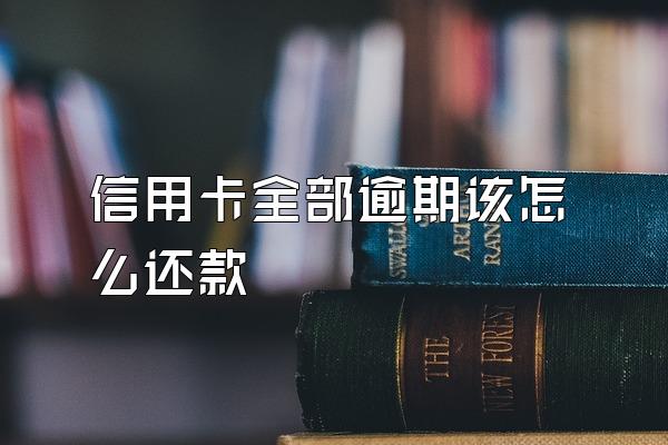 信用卡全部逾期该怎么还款