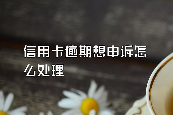 信用卡逾期想申诉怎么处理