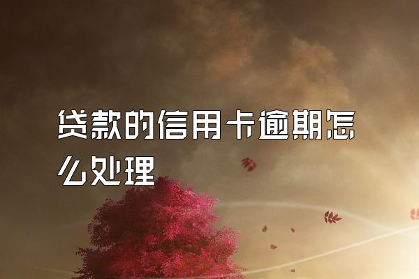 贷款的信用卡逾期怎么处理