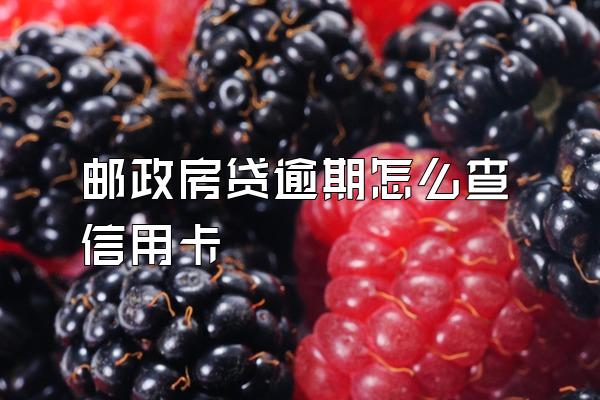 邮政房贷逾期怎么查信用卡