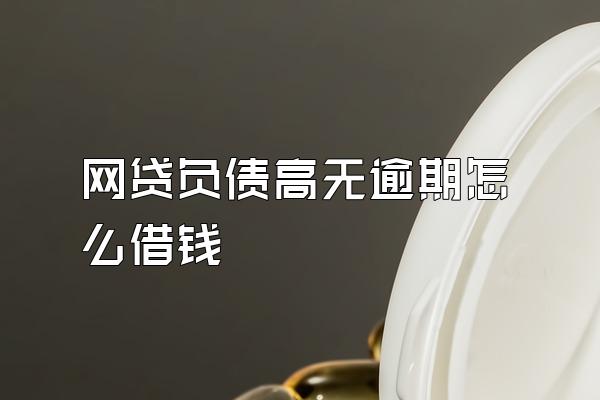 网贷负债高无逾期怎么借钱