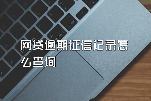 网贷逾期征信记录怎么查询