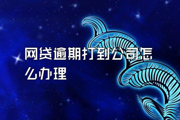 网贷逾期打到公司怎么办理