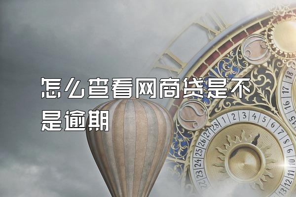 怎么查看网商贷是不是逾期