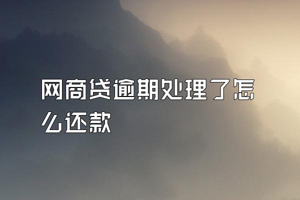 网商贷逾期处理了怎么还款