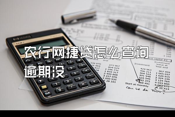 农行网捷贷怎么查询逾期没