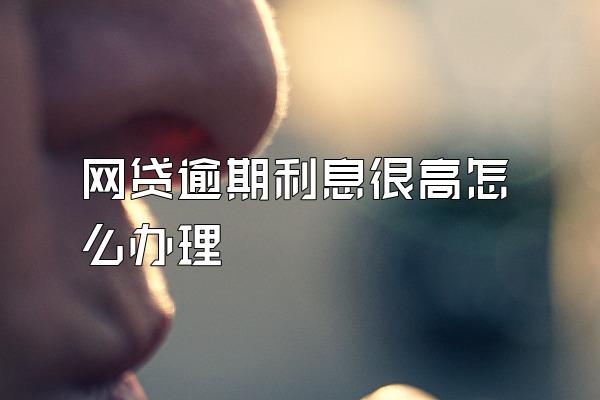 网贷逾期利息很高怎么办理