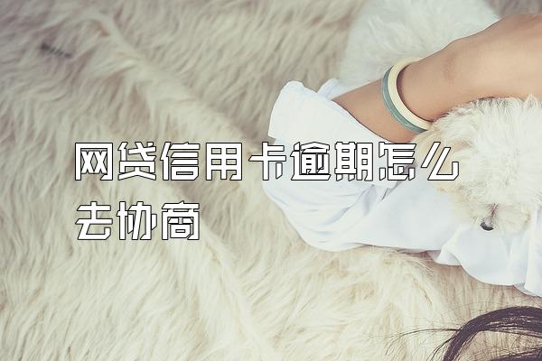 网贷信用卡逾期怎么去协商