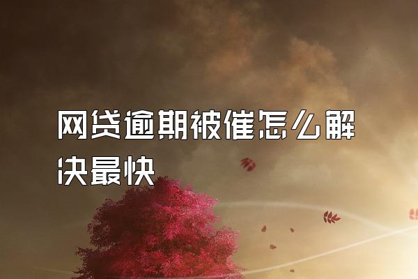 网贷逾期被催怎么解决最快