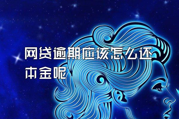 网贷逾期应该怎么还本金呢