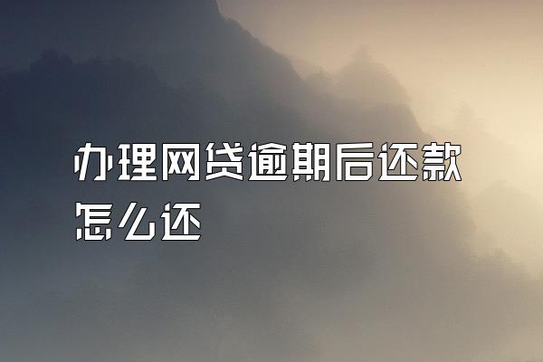 办理网贷逾期后还款怎么还