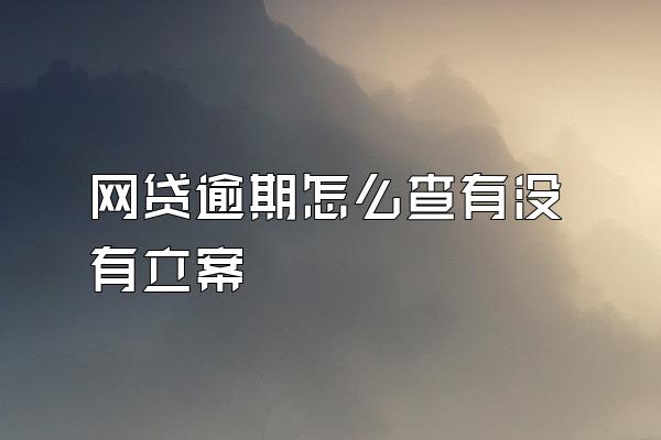 网贷逾期怎么查有没有立案